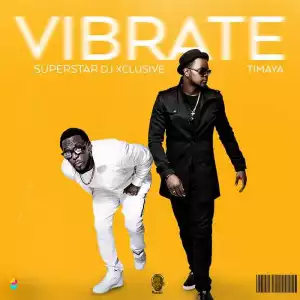 DJ Xclusive - Vibrate (ft. Timaya)